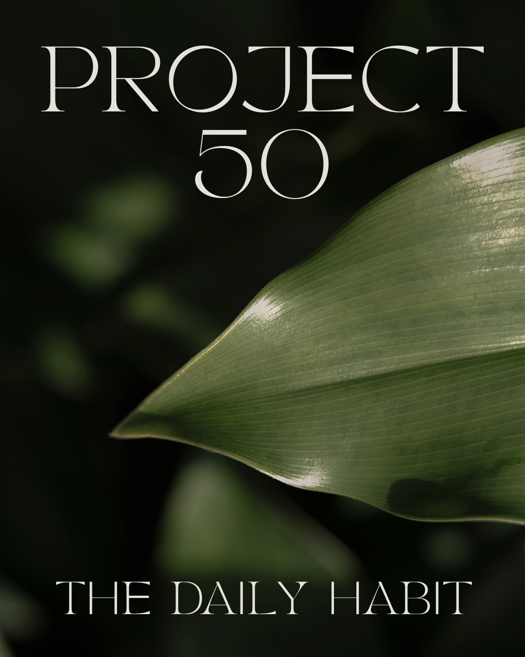 Project 50