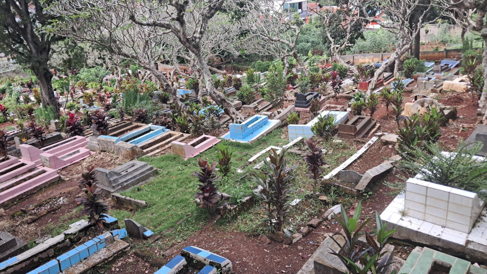 Rumah Bapak